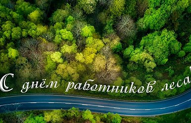 18 сентября - День работников леса