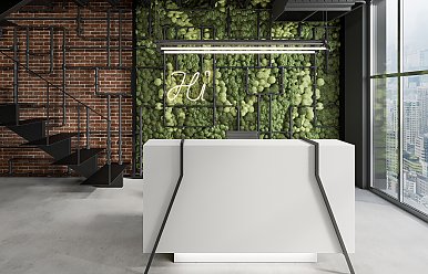 Пополнение в рецепциях. Volpi №1!