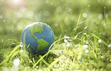 12 мая – День экологического образования