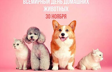 30 ноября - Всемирный день домашних животных 