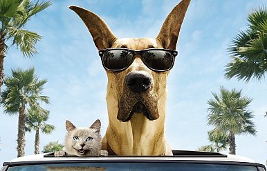 Дни юмора в Гомельской области!