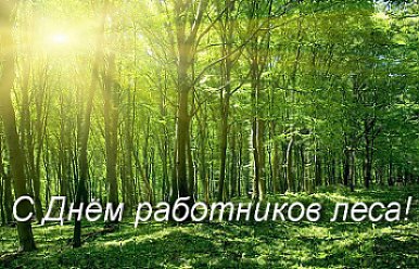 20 сентября - День работников леса  Беларуси