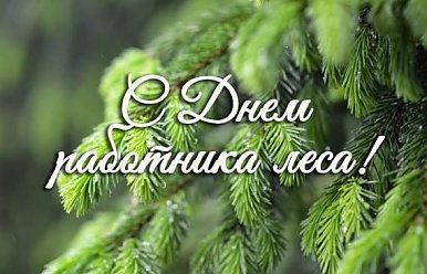 17 сентября - День работников леса и лесоперерабатывающей промышленности