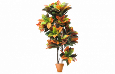 Искусственное растение Тропический Кротон h140