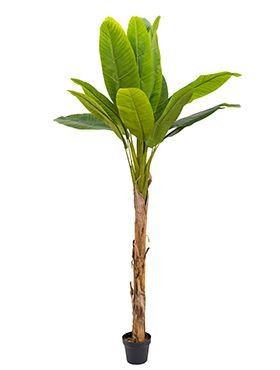 Искусственное растение Банановое дерево на стволе h180