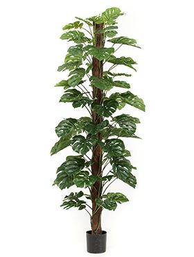 Искусственное растение Монстера на опоре h21