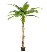 Искусственное растение Банановое дерево на стволе h210