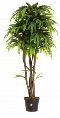 Искусственное растение Манго Стич h145