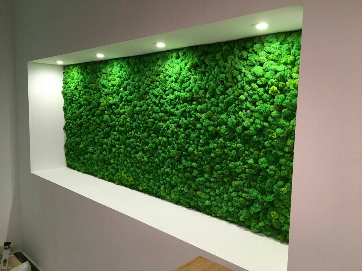 Настенный декор из мха