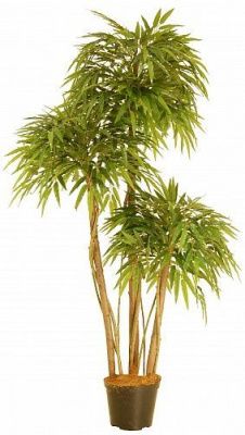 Искусственное растение Манго Тиволи h160