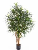 Искусственное растение Драцена Анита h120