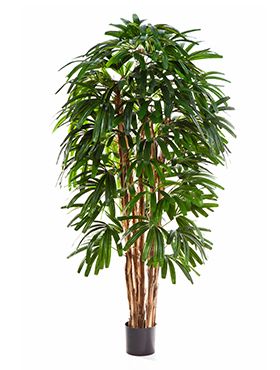 Искусственное растение Рапис h180