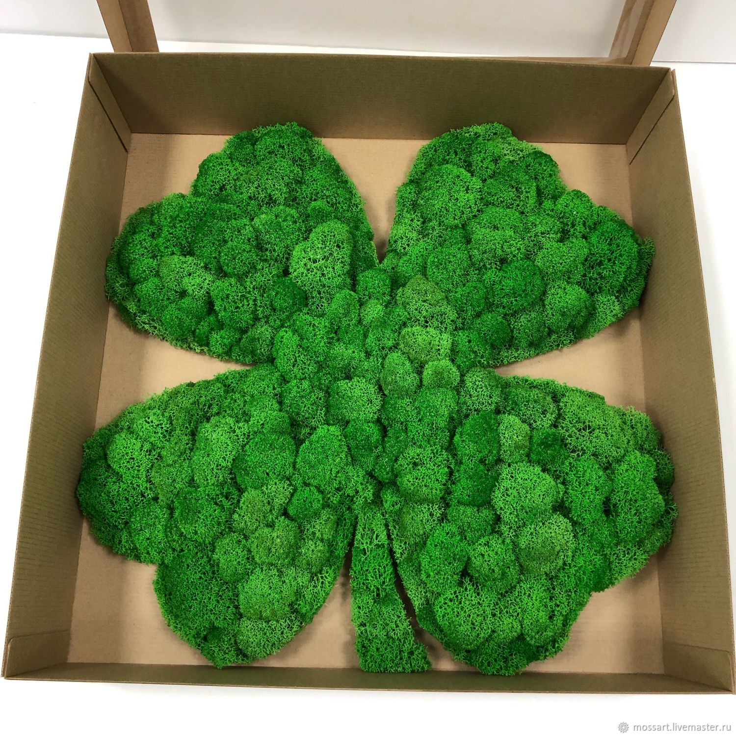 Изделие из мха "Клевер"