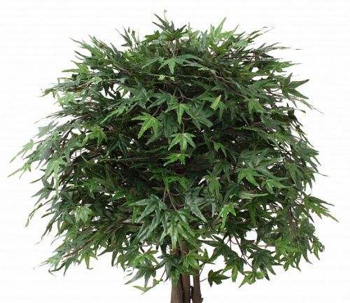 Искусственное растение Клен Вентри h105