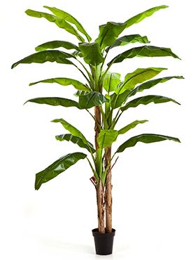 Искусственное растение Банановое дерево h240