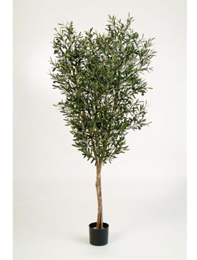 Искусственное растение Олива на стволе h120