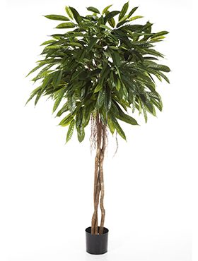 Искусственное растение Лонгифолия Амбрелла h180