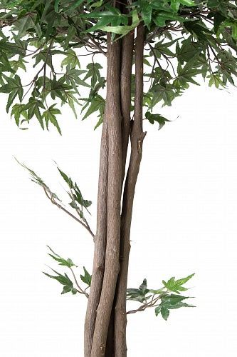 Искусственное растение Клен Вентри h105