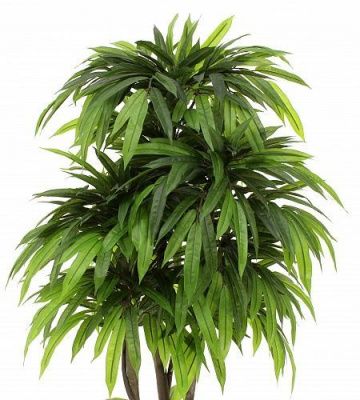 Искусственное растение Манго Стич h145