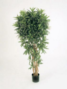 Искусственное растение Кротон Голдфингер h150