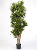 Искусственное растение Драцена Рефлекса h150