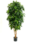 Искусственное растение Шефлера зеленая h172