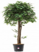 Искусственное растение Клен Вентри h105