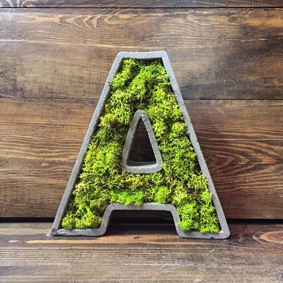 Буква А из мха 