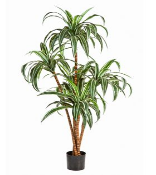 Искусственное растение Драцена Варнецки h150
