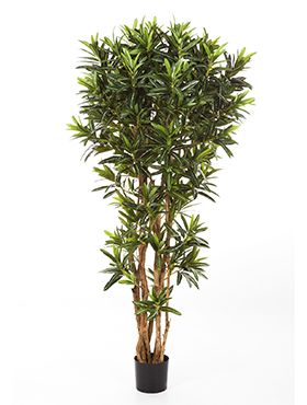 Искусственное растение Кротон Голдфингер h180