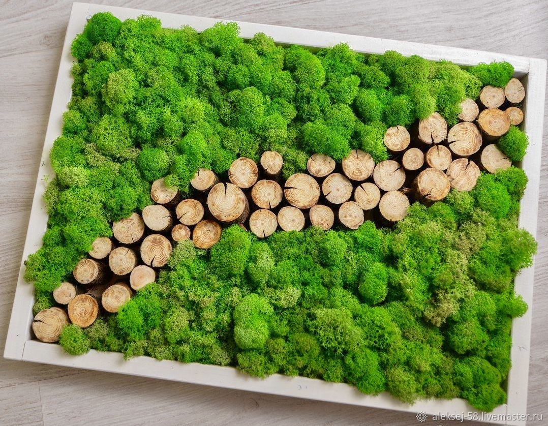 Картина из мха "Тропинка"