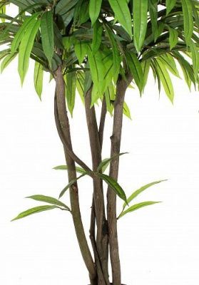 Искусственное растение Манго Стич h145