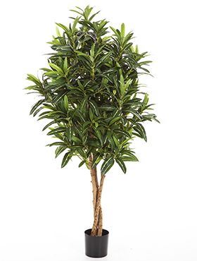 Искусственное растение Кротон Голдфингер на стволе h155