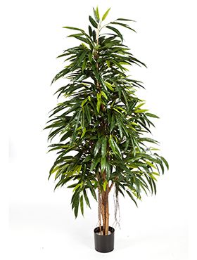Искусственное растение Лонгифолия Роял h180