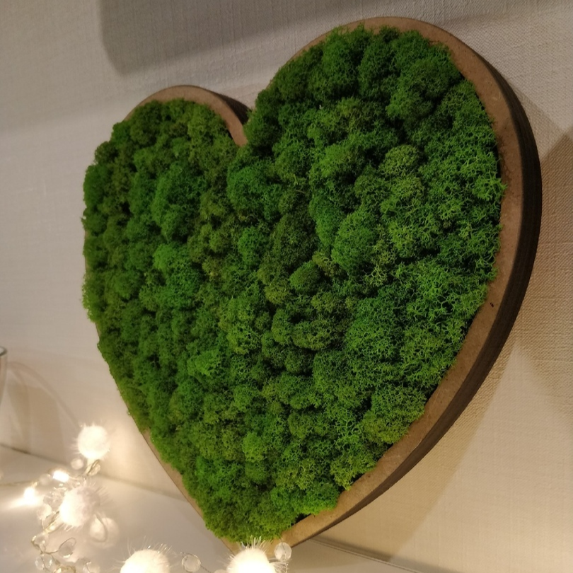 Сердце из мха