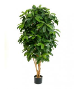 Искусственное растение Шефлера зеленая h142