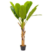 Искусственное растение Банановое дерево на стволе h150