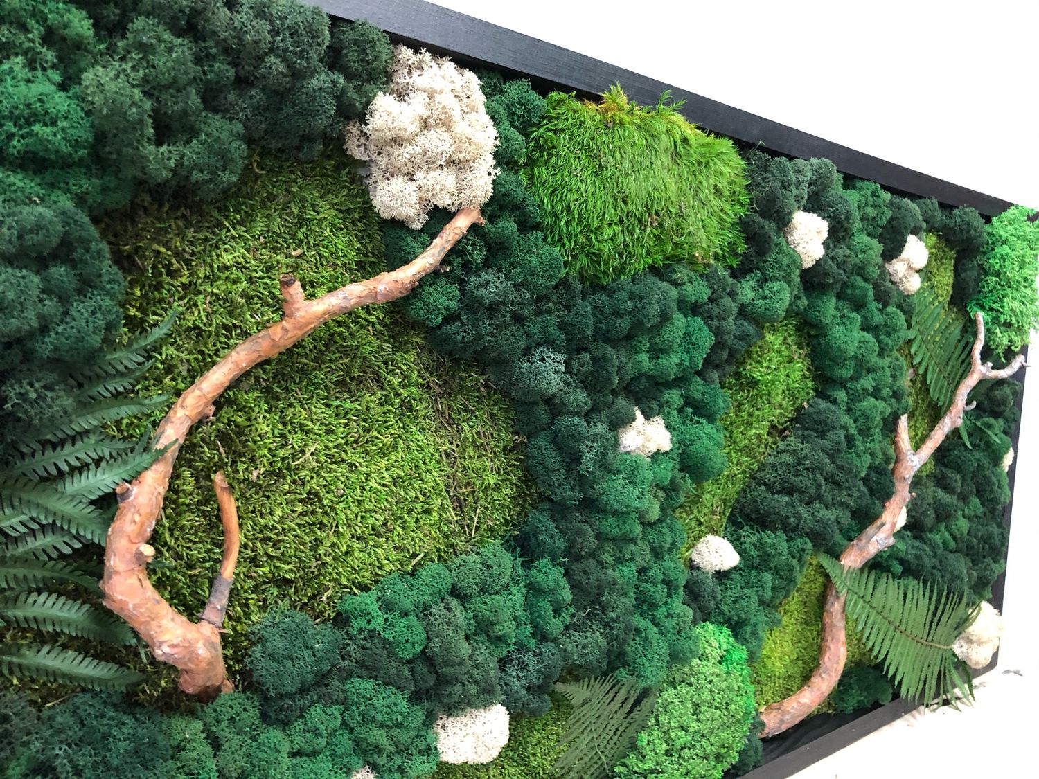 Картина из мха "Лес"