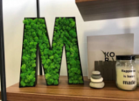 Буква М из мха