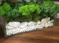 Декор "Аквариум"