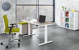 ERGOSMART