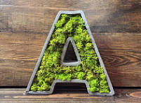 Буква А из мха 