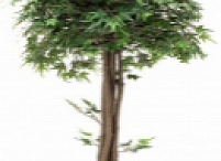 Искусственное растение Клен Вентри h105