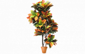 Искусственное растение Тропический Кротон h140