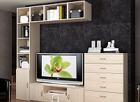 Гостиная "Слим практик" акация молдавская (4 элемента)